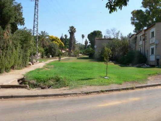 מדורון פורת2005-2008 084