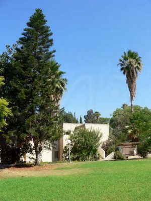 מדורון פורת2005-2008 085