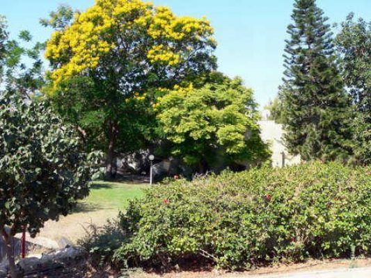 מדורון פורת2005-2008 086