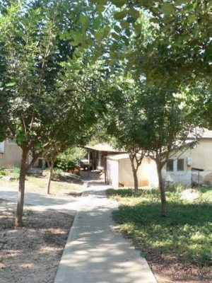 מדורון פורת2005-2008 089