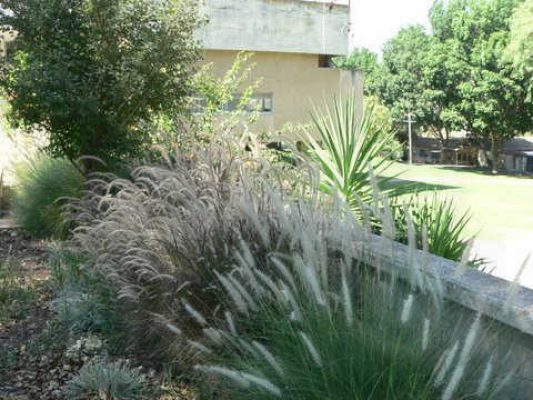 מדורון פורת2005-2008 097
