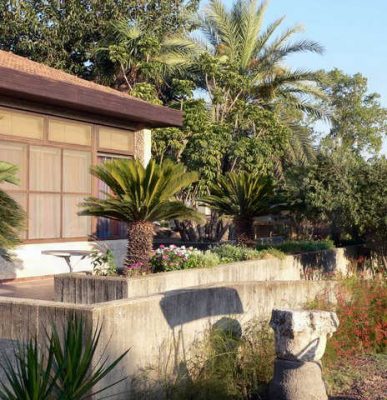 מדורון פורת2005-2008 111