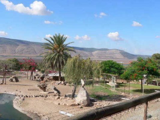 מדורון פורת2005-2008 149