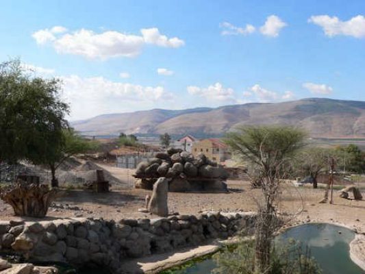 מדורון פורת2005-2008 150