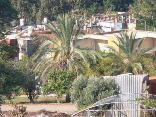 מדורון פורת2005-2008 169