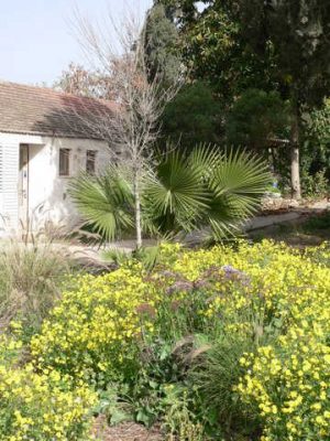 מדורון פורת2005-2008 174