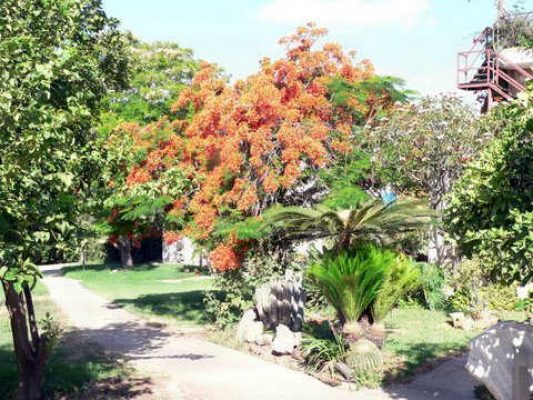 מדורון פורת2005-2008 182