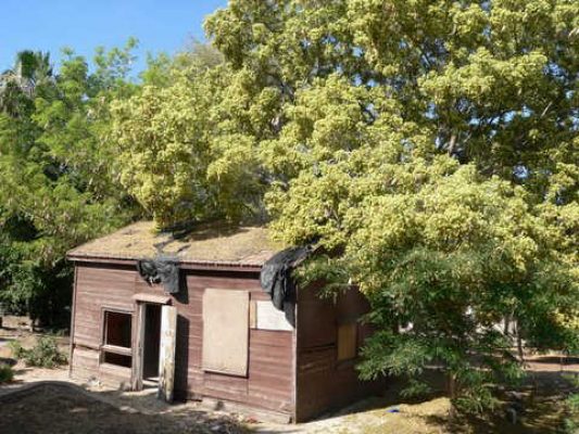 מדורון פורת2005-2008 183