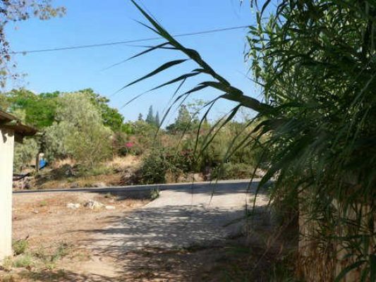 מדורון פורת2005-2008 187