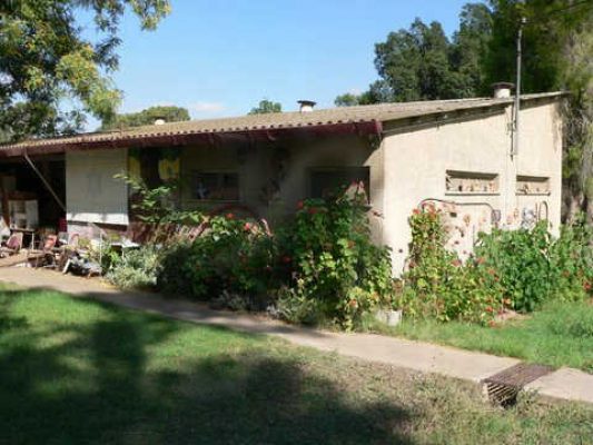 מדורון פורת2005-2008 188