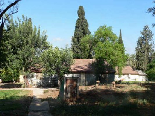 מדורון פורת2005-2008 190