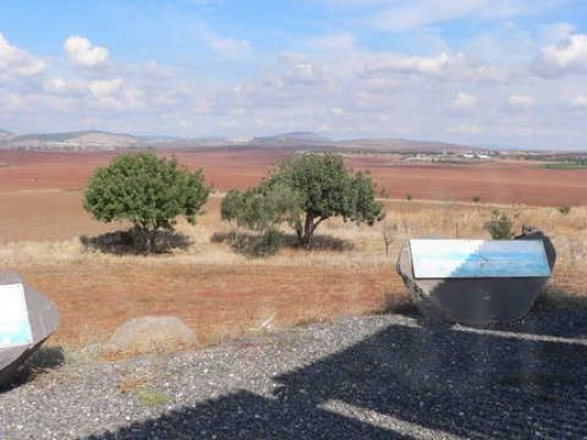 מדורון פורת2005-2008 193