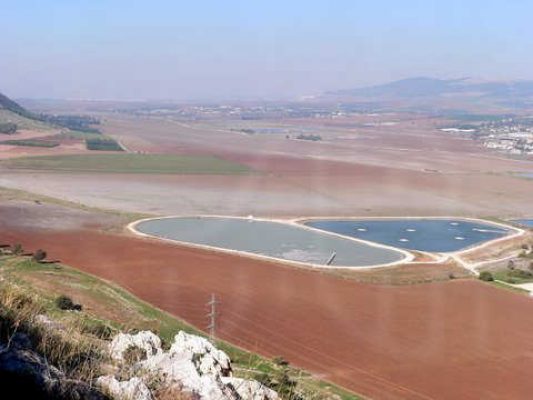 מדורון פורת2005-2008 205