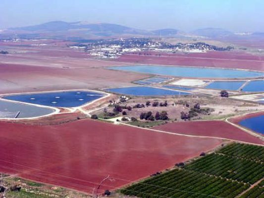 מדורון פורת2005-2008 206