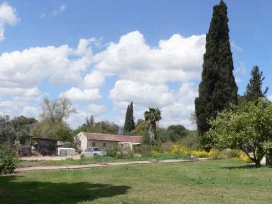 מדורון פורת2005-2008 212