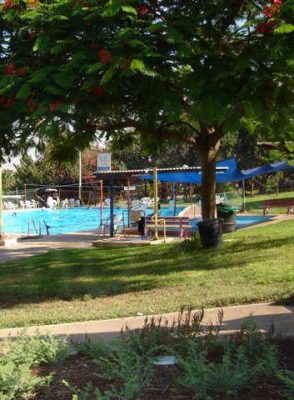 מדורון פורת2005-2008 223