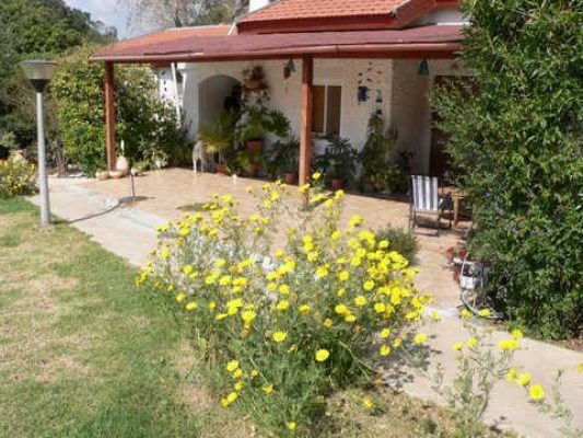 מדורון פורת2005-2008 237