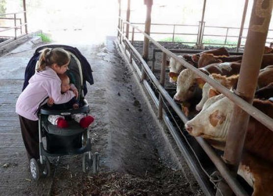 מדורון פורת2005-2008 248