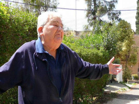 מדורון פורת2005-2008 307