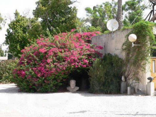 מדורון פורת2005-2008 454