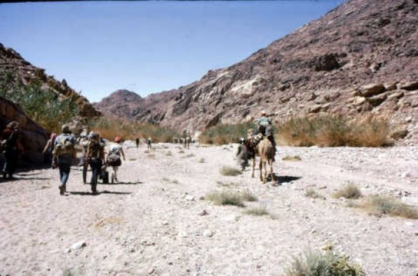 סבך קנה. ואדי איסלה 1970