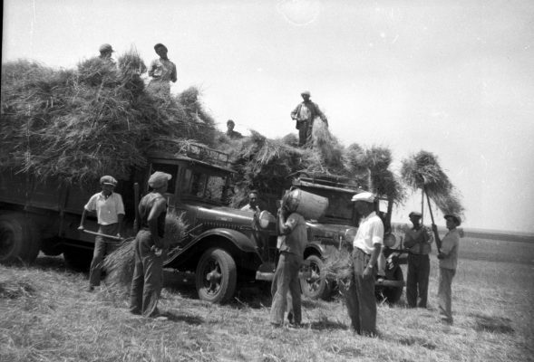 תמונות ש.ל לספר אב.ג 2009 129