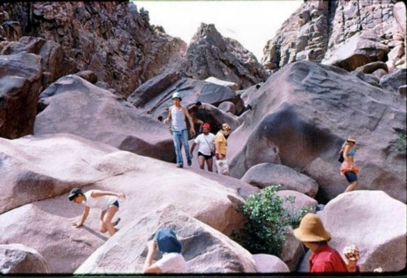 קב' שיטה בואדי טאלעה 1974