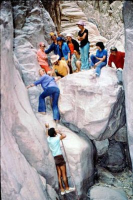 קב' שיטה בסיני 1974