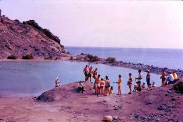 קב' שיטה ליד בריכה . אי האלמוגים 1974