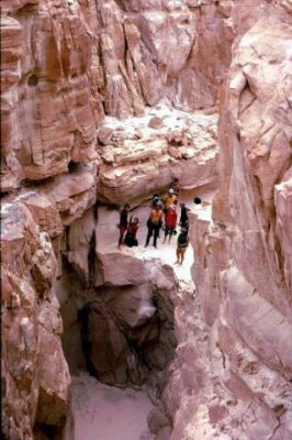 קב' שיטה מעל המפל בקניון הלבן. 1974