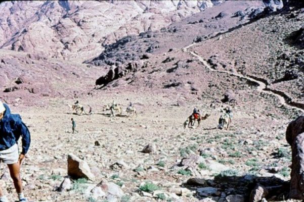 קב' שיטה על גמלים אל הר קט' 1974