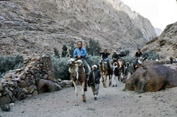 בני שיטה על גמלים בעליה לקט' 1974