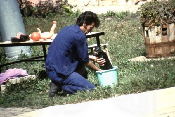 יגאל שפר רוחץ כלב 1980