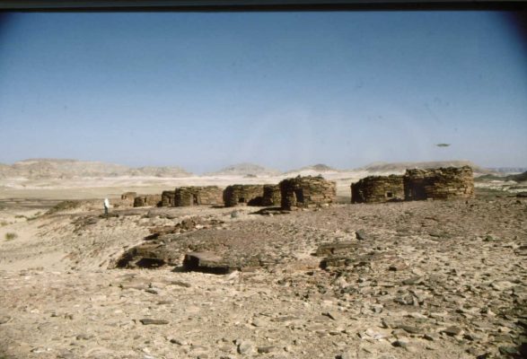 הנוואמיס. 1993