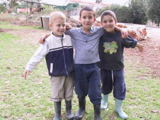 01-188-8897_IMG - עותק