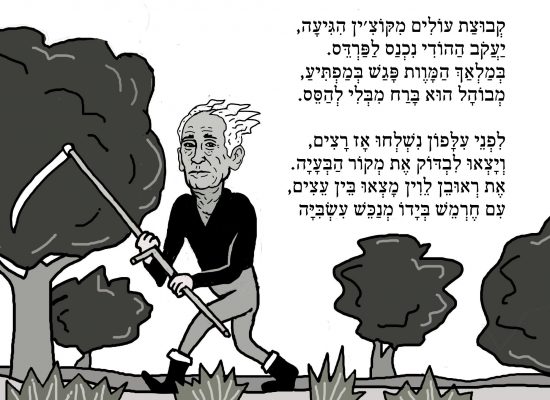 לוין1