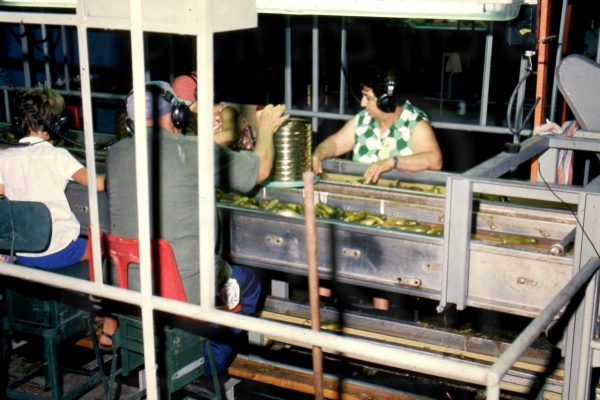 1-גיוס לזיתיה 1979 שושנה אילת