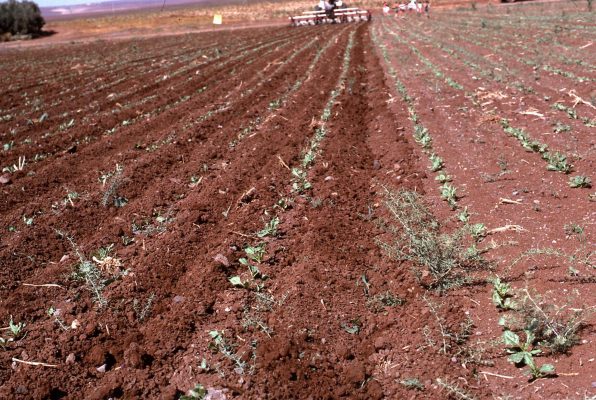 1461516