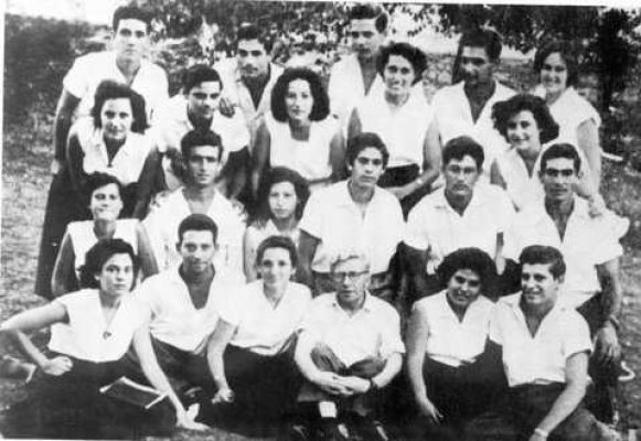 146600-נמלה