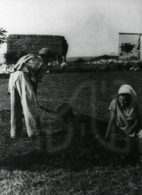 1469081
