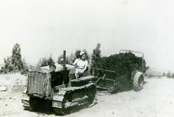 1481464