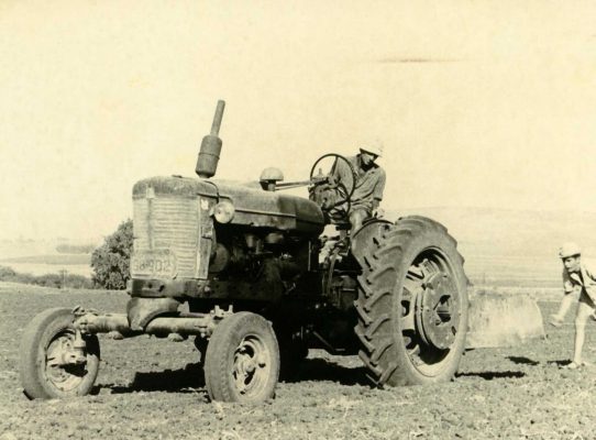 1481906