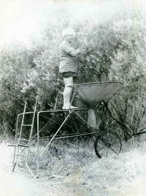 1483912