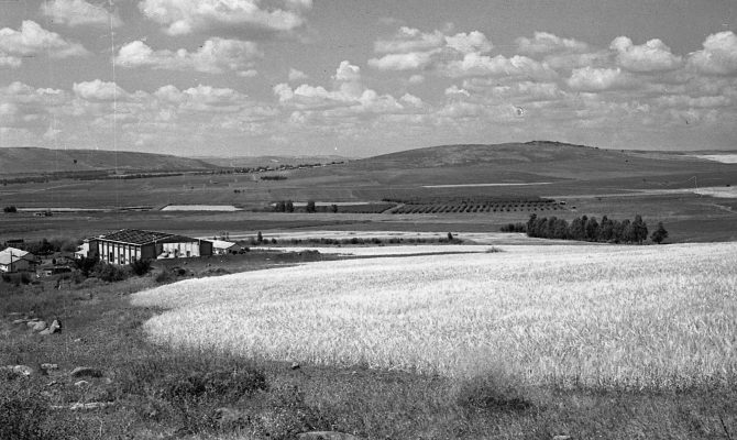 1956, בית התרבות בבניה, חורשת להבה
