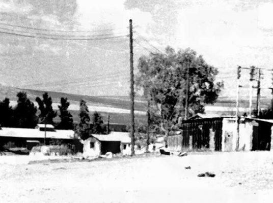 2 החשמליה הקודמת ליד הרפתות 1959