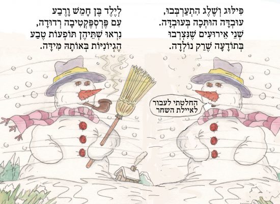 שלג3