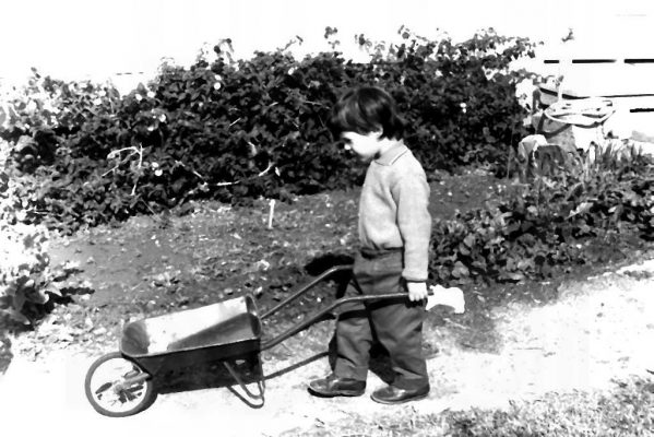 36-2832-PICT0017 טלי גדיש