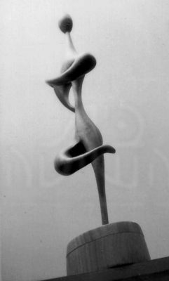 4366-004 פיסל מוני מרוז