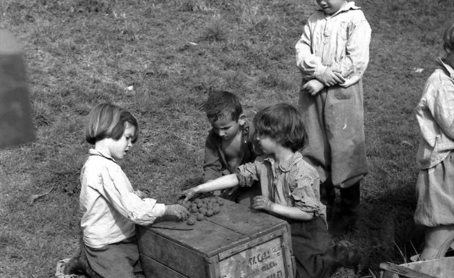 6-3103116 - עותק