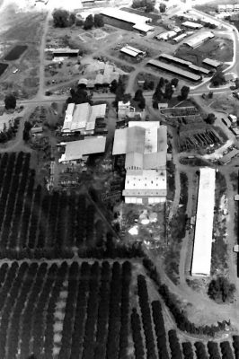 8344-PICT0012 בית השיטה מהאויר 1973